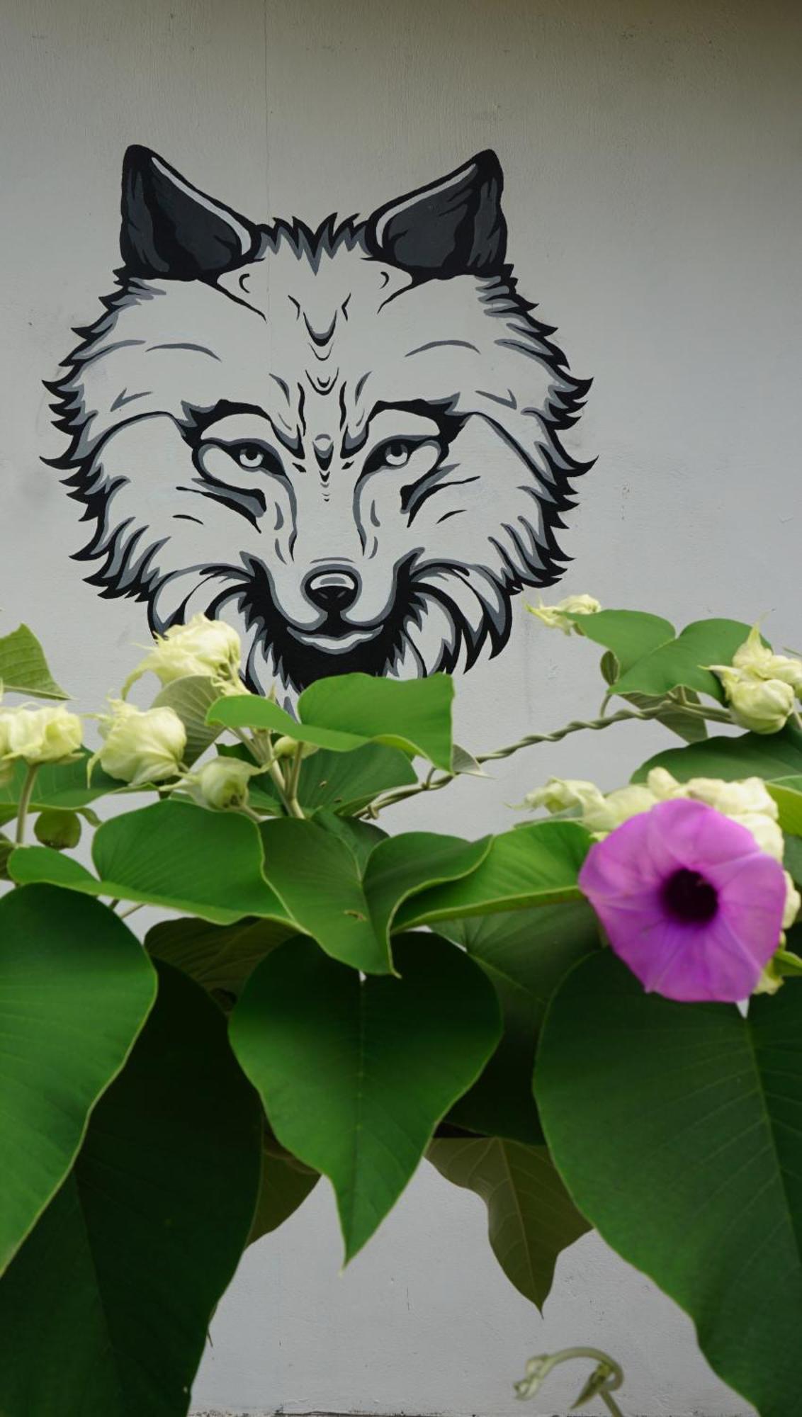 House Of Wolves Hostel Pantai Cenang  Exterior photo
